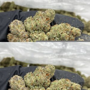 Alternative view of Frozen Granny Smith Strain