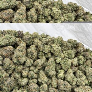 Alternative view of Jaw Breakerz  Strain