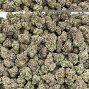 Purple Pressure Strain