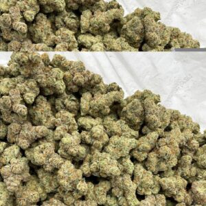 Alternative view of Sunset Shirley Temple Strain