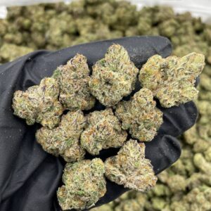 blue candy donuts strain