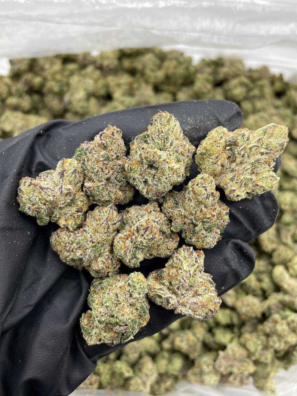 blue candy donuts strain