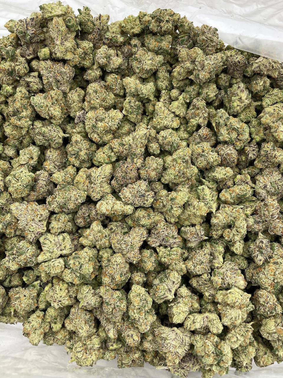 blue candy donuts strain