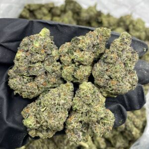 bubblegum berries strain