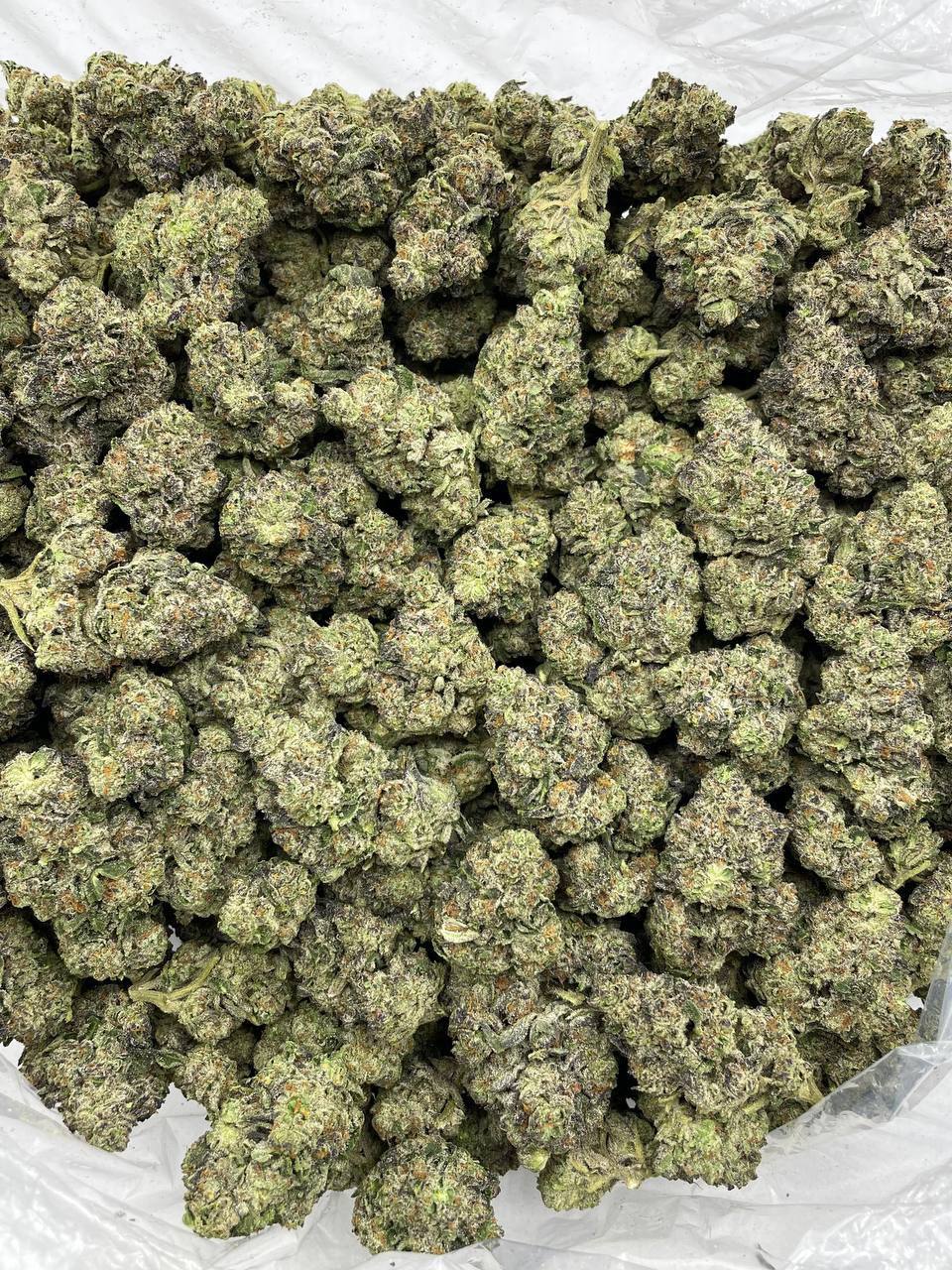 bubblegum berries strain