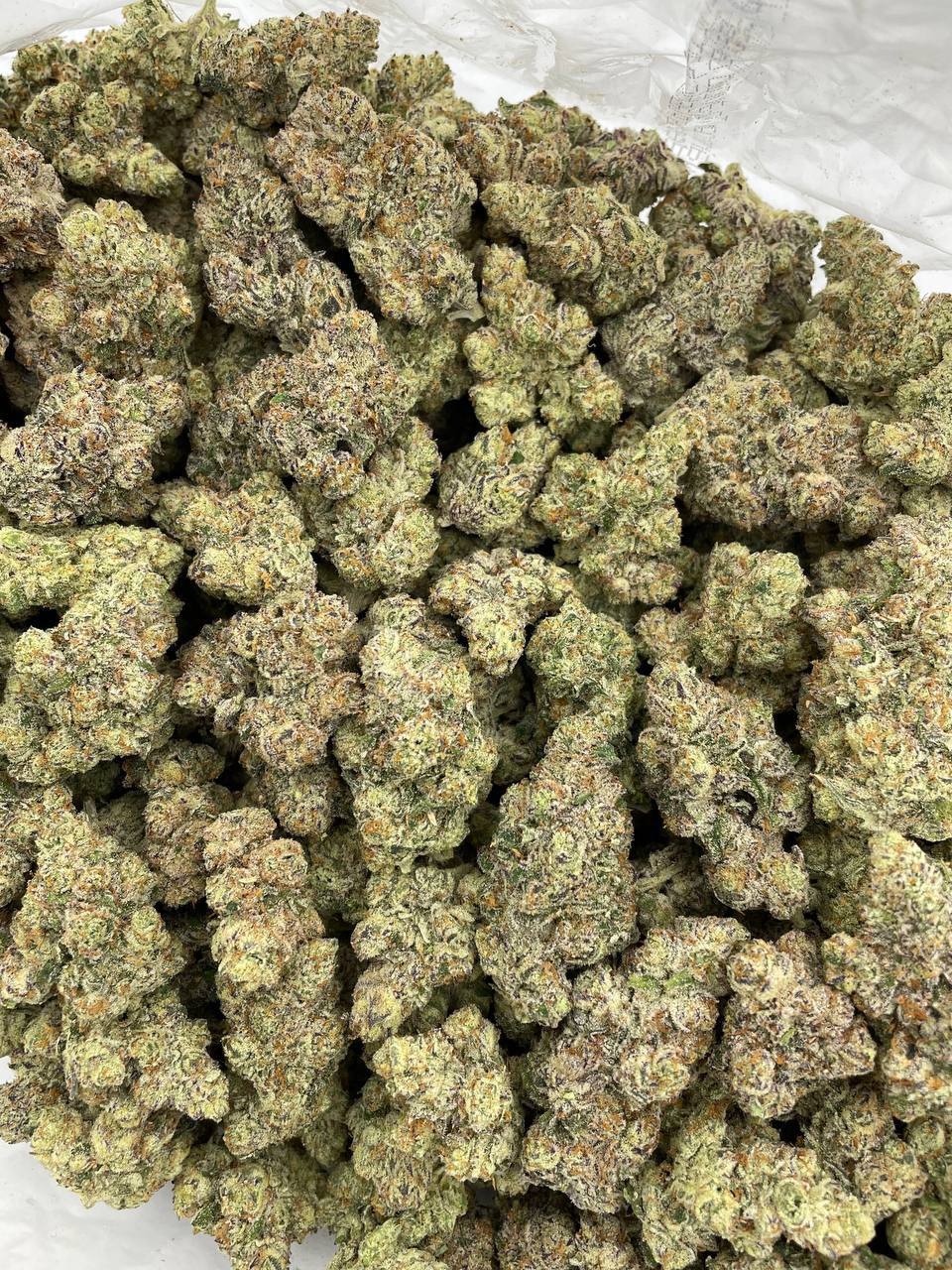 Push Pop Strain - Image 2